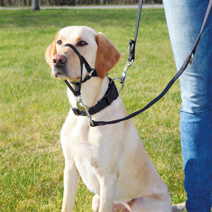 Nylon Adjustable Anti-bite Leashe
