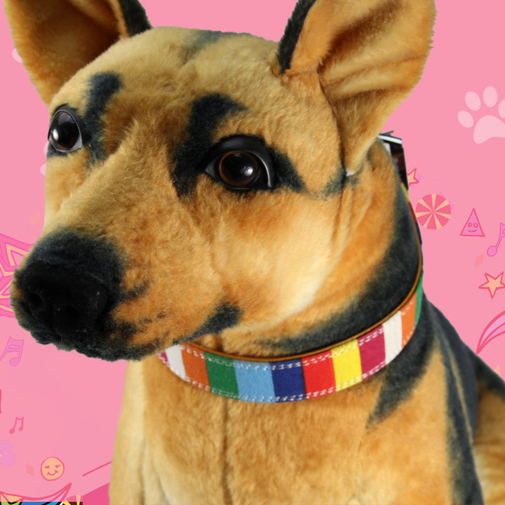 Colorful Pet Dog Collar With Traction Leashe