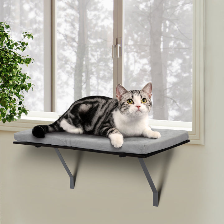 Window Style Shelving Bed